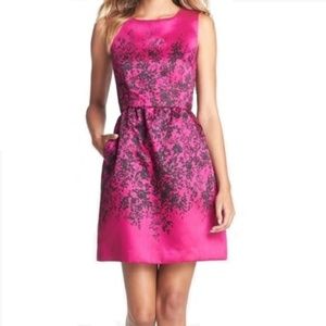 Taylor Magenta Fit and Flare Dress, US6